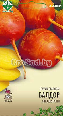 Свекла столовая Болдор