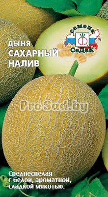 Дыня Сахарный налив