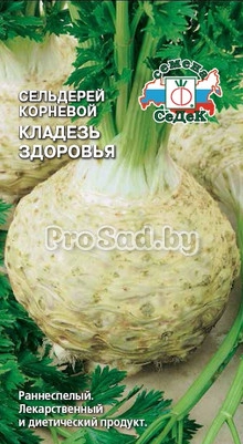 Сельдерей корневой Кладезь Здоровья