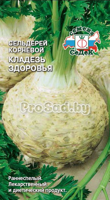 Сельдерей корневой Кладезь Здоровья