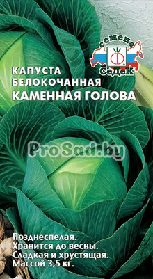 Капуста белокочанная Каменная голова