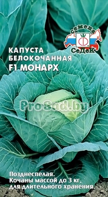 Капуста белокочанная F1 Монарх