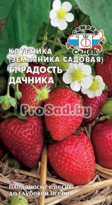 Клубника (Земляника садовая) F1 Радость дачника