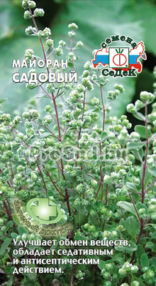 Майоран Садовый