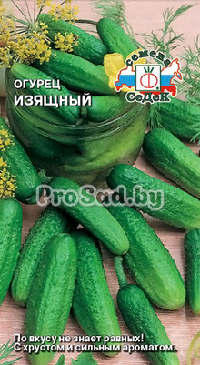 Огурец Изящный