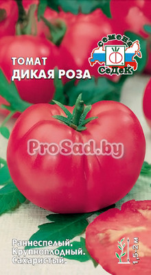 Томат Дикая роза