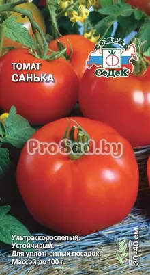 Томат Санька