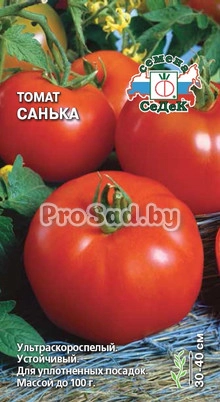 Томат Санька