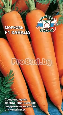 Морковь F1 Канада