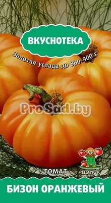 Томат Бизон оранжевый