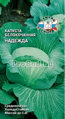 Капуста белокочанная Надежда