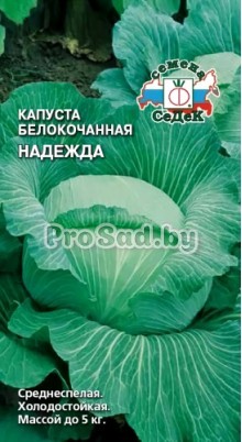 Капуста белокочанная Надежда