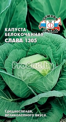 Капуста белокочанная Слава 1305