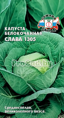 Капуста белокочанная Слава 1305