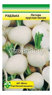 Редька Летняя круглая белая