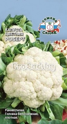 Капуста цветная Роберт