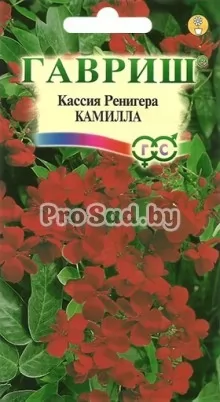 Кассия Ренигера Камилла