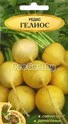 Редис Гелиос (Польша)