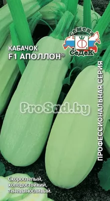Кабачок F1 Аполлон