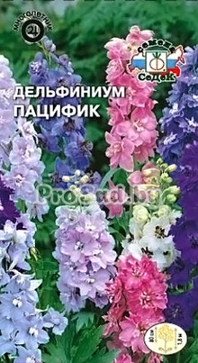 Дельфиниум Пацифик, смесь