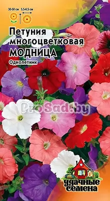 Петуния многоцветковая Модница, смесь