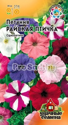 Петуния многоцветковая Райская птичка, смесь