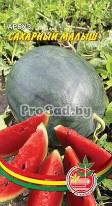 Арбуз Сахарный малыш
