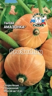 Тыква Амазонка