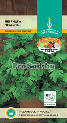 Петрушка Чудесная