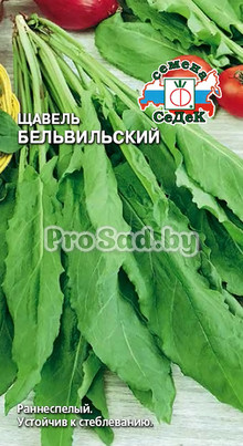 Щавель Бельвильский