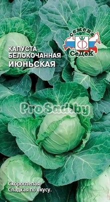 Капуста белокочанная Июньская