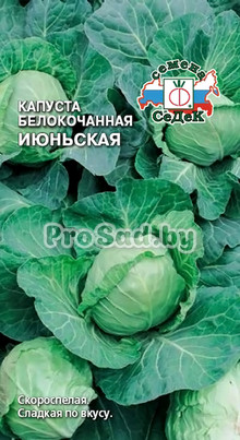 Капуста белокочанная Июньская