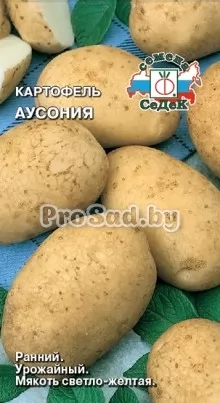 Картофель Аусония