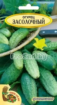 Огурец Засолочный