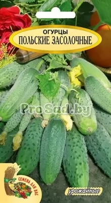Огурец Польские засолочные, смесь (Польша)