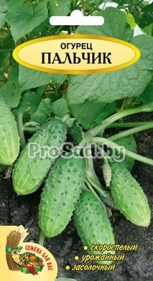 Огурец Пальчик