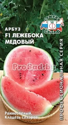 Арбуз F1 Лежебока медовый
