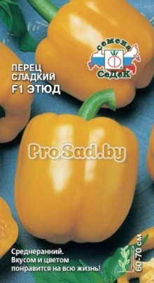 Перец сладкий F1 Этюд