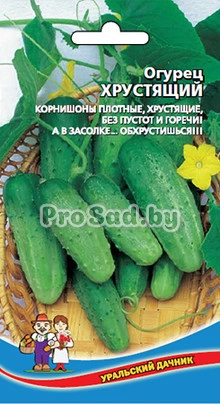 Огурец Хрустящий