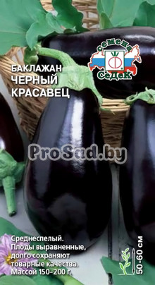 Баклажан Чёрный красавец