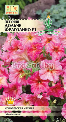 Петуния многоцветковая F1 Дольче фраголино