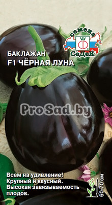 Баклажан F1 Чёрная луна