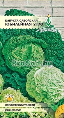 Капуста савойская Юбилейная 2170