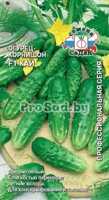 Огурец-корнишон F1 Кай