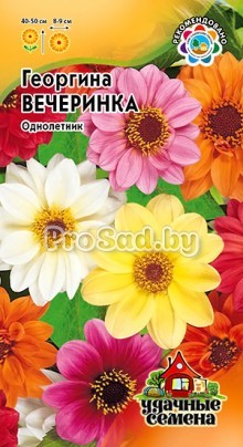 Георгина Вечеринка, смесь
