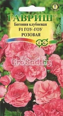 Бегония клубневая Гоу-Гоу Розовая