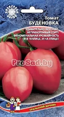 Томат Будёновка
