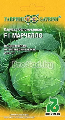 Капуста белокочанная F1 Марчелло (Голландия)