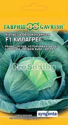 Капуста белокочанная F1 Килагрег (Голландия)