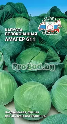 Капуста белокочанная Амагер 611